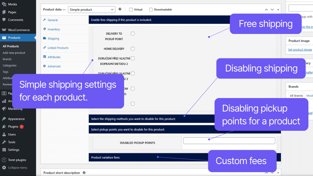 Plugin Toret Custom Branches and Shipping for WooCommerce - settings (3)