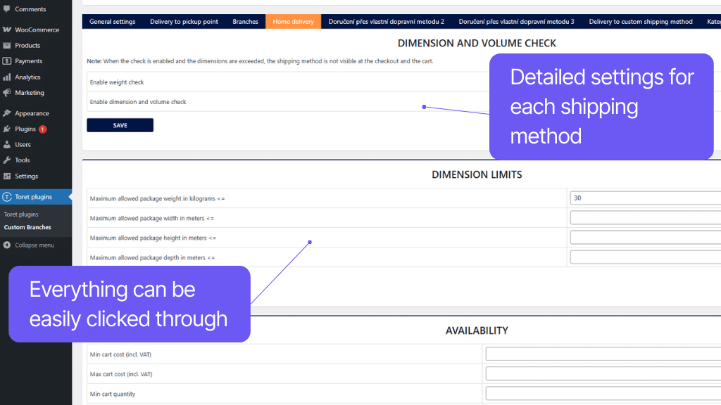 Plugin Toret Custom Branches and Shipping for WooCommerce - settings